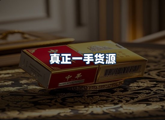 专业团队办公环境